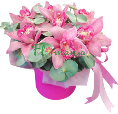 Розовый единорог